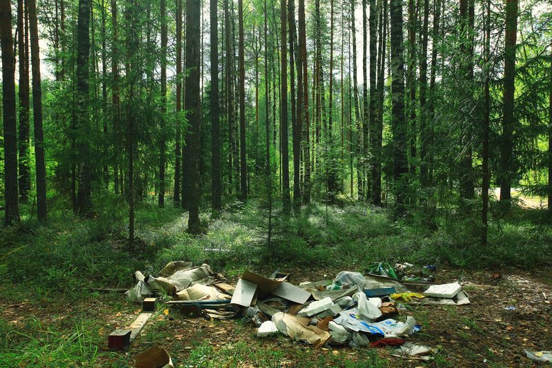 rubbish removal waste removal